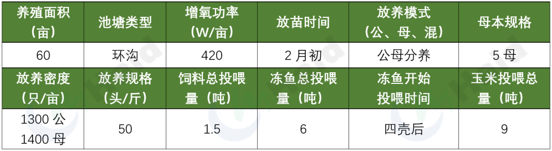 利润超万元！低成本高收益的纯母养殖模式，螃蟹主打4母5公规格，套养青虾技术成熟！ | 第三届虾蟹模式调研万里行系列报道㉘