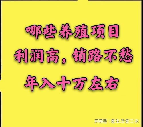 目前有哪些养殖项目不仅利润高，而且销路不用愁？