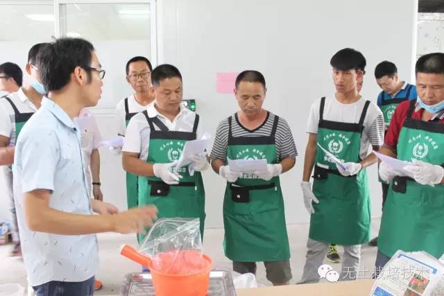 番茄种植视频播放_番茄栽培技术视频_黑番茄种植技术视频