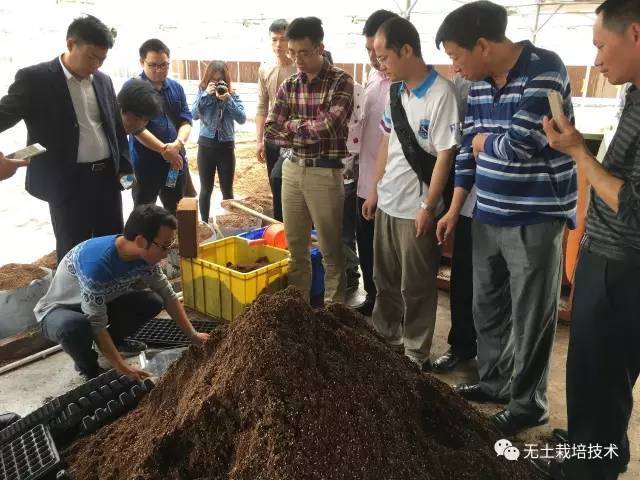 番茄栽培技术视频_番茄种植视频播放_黑番茄种植技术视频