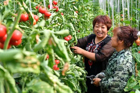 致富养殖塑料项目介绍_塑料养殖致富项目_养殖塑料件