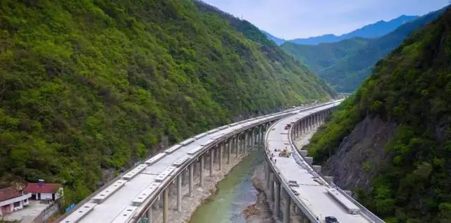 秦岭种植什么农作物_秦岭种植致富秘密_秦岭植物