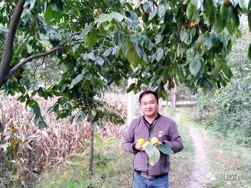 秦岭种植什么农作物_秦岭种植致富秘密_秦岭植物