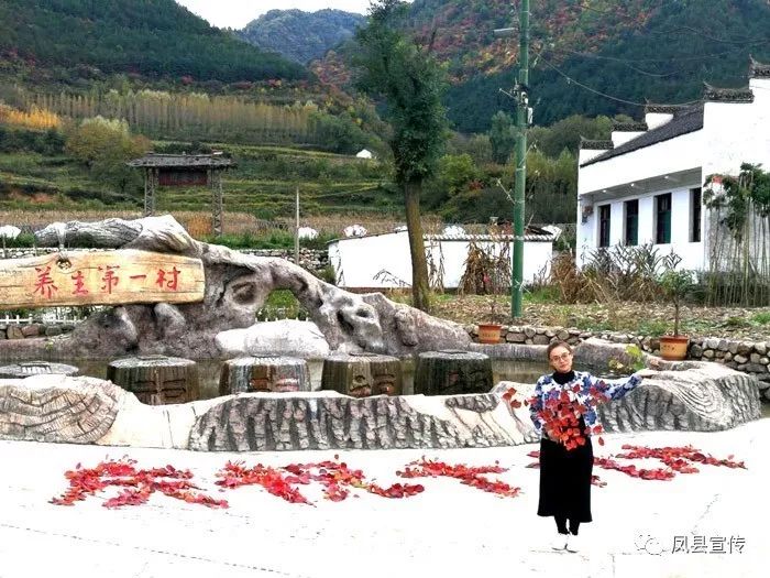 秦岭种植致富秘密_秦岭种植什么农作物_秦岭植物