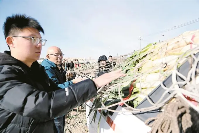 兵团夯实农业基础推动高质量发展纪实:“农”墨重彩绘就乡村振兴新图景 十三师新星市：“大党建”赋能“微治理”