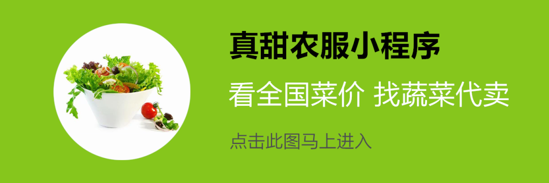 十年老采购，竟葱蒜不分；生鲜零售业，核心供应链（附全国九大农批3月13日菜价)