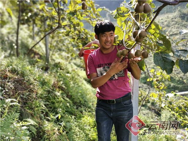 汉中种植什么药材时间短收益快_汉中种植致富_汉中适合种植哪些中草药