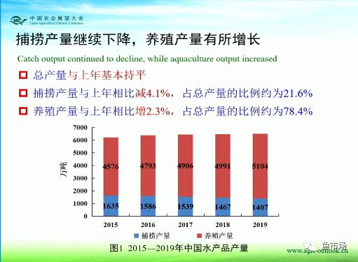 水产是未来最赚钱的行业！未来十年国内水产品市场趋势如何？