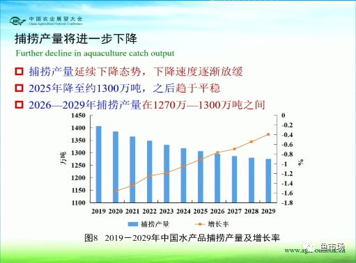 水产养殖行业致富_致富养殖水产行业有哪些_致富养殖水产行业怎么样