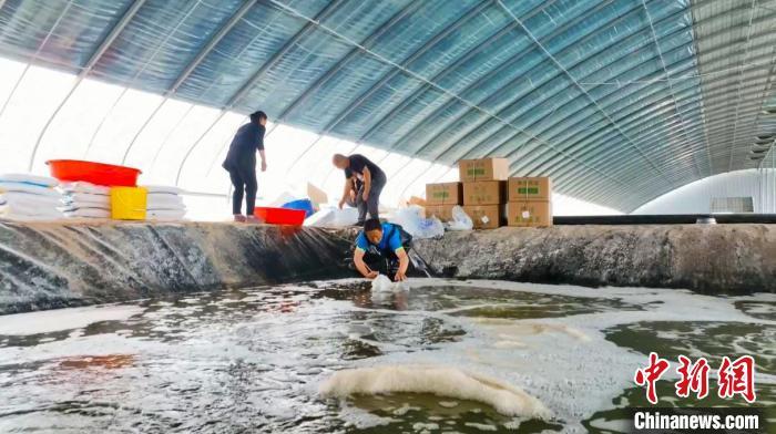 新疆水产养殖基地_新疆发展水产养殖业的优势_新疆水产养殖致富