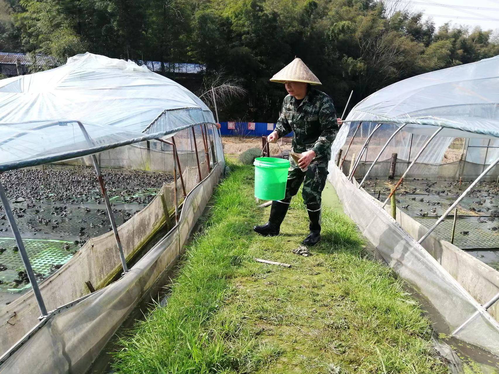 胡亚春：特色养殖敲开乡村“致富门”