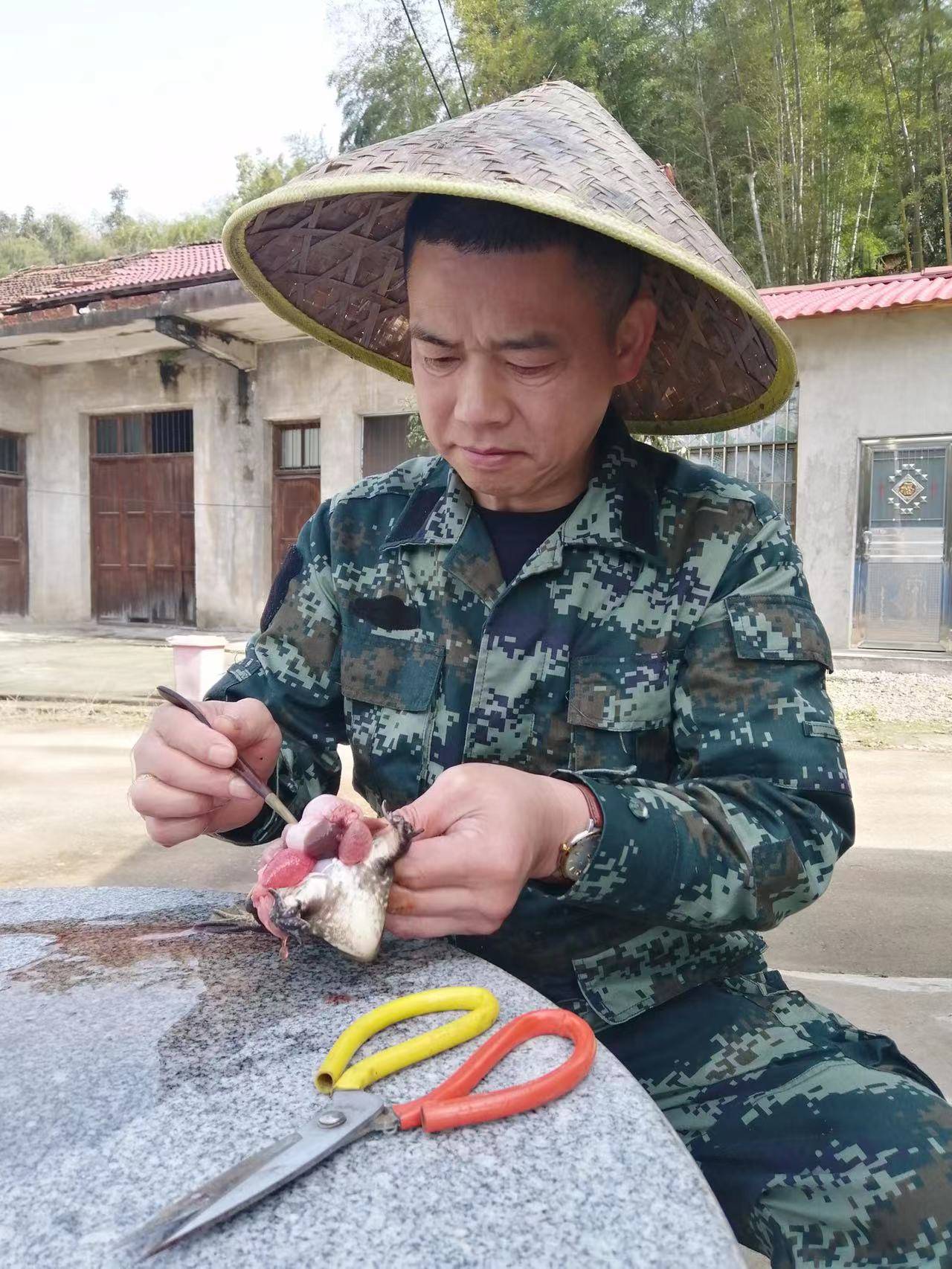 致富养殖牛蛙图片_致富养殖牛蛙怎么样_牛蛙养殖致富经