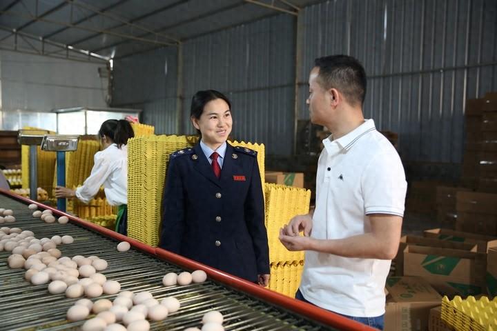 贵州毕节：税惠赋能 “小鸡蛋”走俏粤港澳大湾区