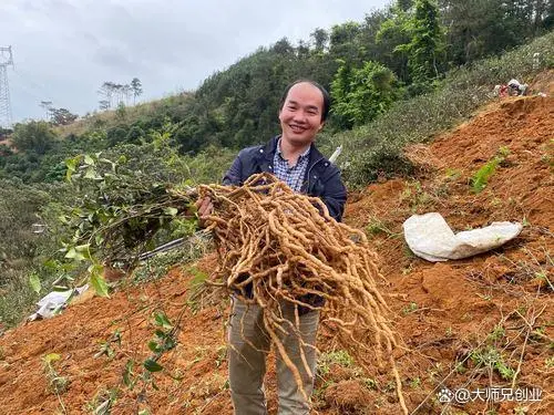 农致富农业科技有限公司_种植瓜类作物用什么肥_农视网致富经种植种植药瓜