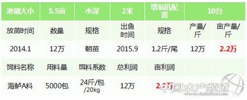 珠海鲈鱼塘口价_珠海鲈鱼养殖基地_致富经珠海海鲈鱼养殖