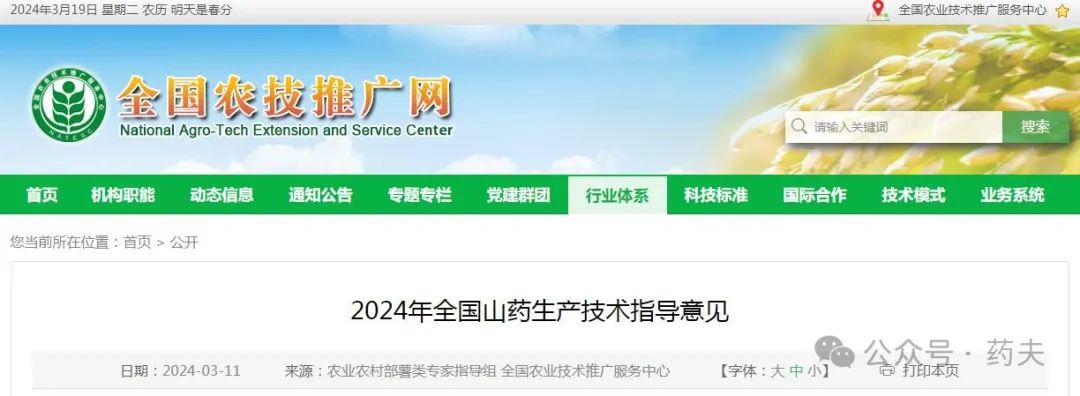 【种植技术】2024年全国山药生产技术指导意见