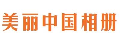 红腹锦鸡养殖技术视频_红腹锦鸡是野鸡_野生红腹锦鸡养殖技术