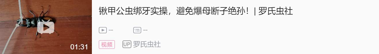泥虫如何养殖技术_泥虫养殖支技术视频_虫泥养殖技术要点