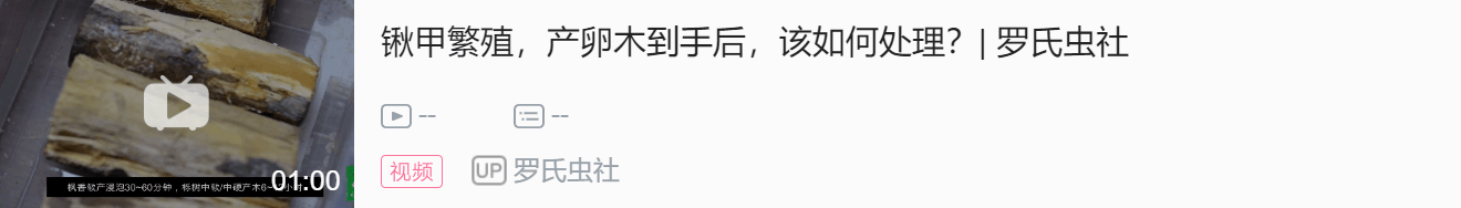 泥虫养殖支技术视频_泥虫如何养殖技术_虫泥养殖技术要点
