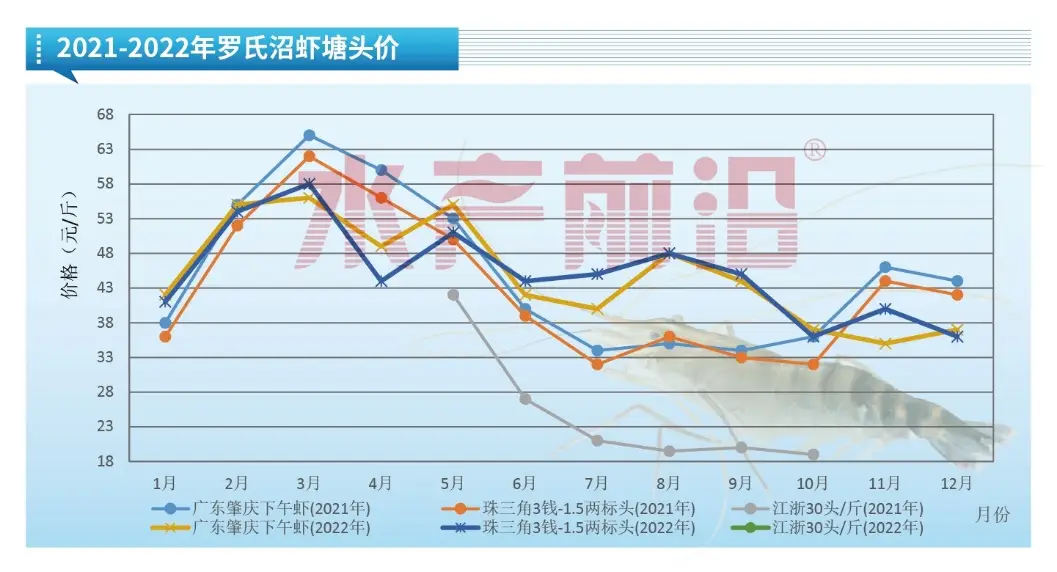 致富经罗氏沼虾_罗氏沼虾的价格_罗氏沼虾骗局