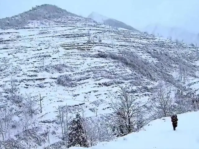 致富经 陈靖怡 野猪_致富经养野猪全部视频_致富经特种野猪