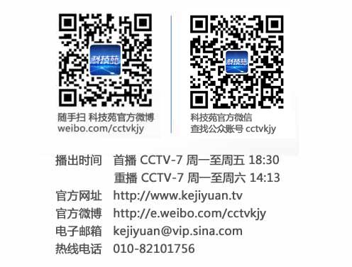 种植甘蔗的视频_韶州小农拍摄甘蔗种植视频_致富经农村种甘蔗视频