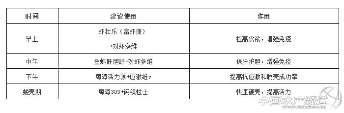 对虾养殖视频致富经_养虾技术视频池塘_池塘对虾养殖技术视频