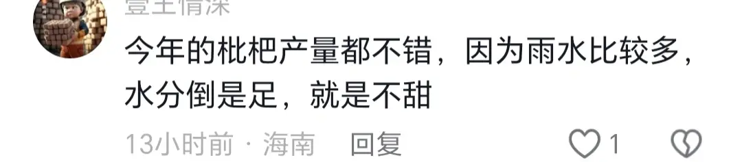 枇杷种植技术视频修剪_枇杷的栽培技术视频_枇杷的修剪视频农广天地