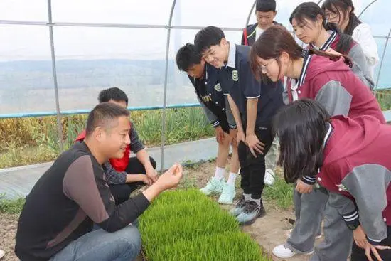 肥西种植致富项目_肥西蔬菜种植基地_致富种植肥西项目招标