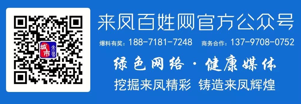 恩施魔芋种植致富_恩施哪里有魔芋种出售_恩施魔芋基地联系方式