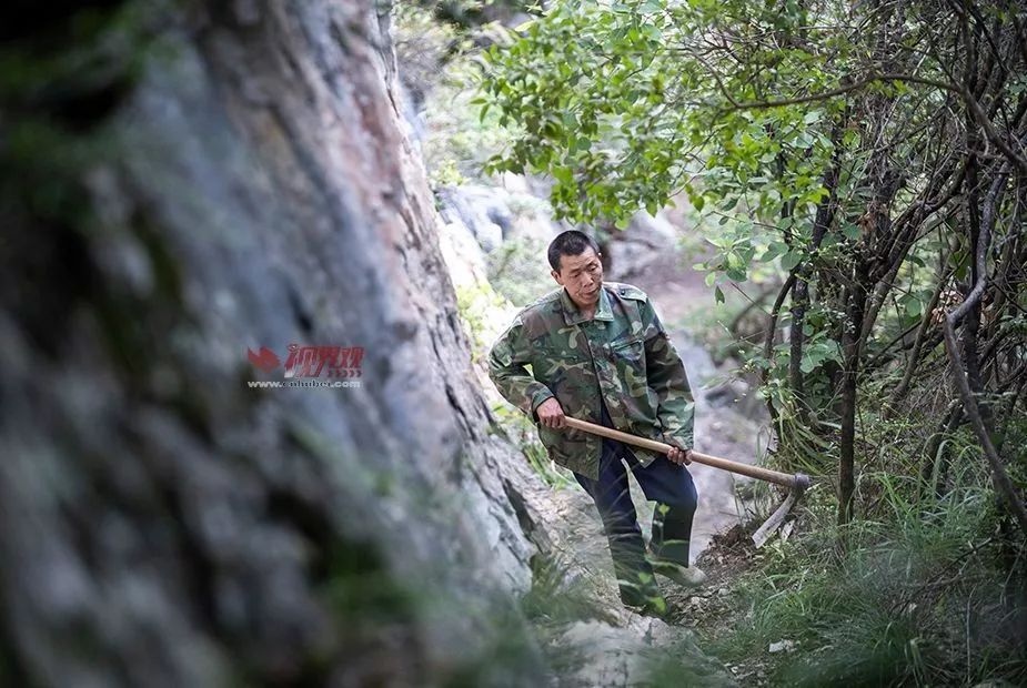 致富种植恩施魔芋视频_恩施魔芋种植致富_恩施魔芋种子联系电话