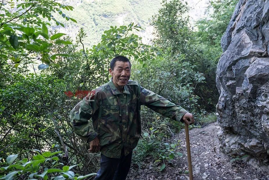 恩施魔芋种植致富_恩施魔芋种子联系电话_致富种植恩施魔芋视频