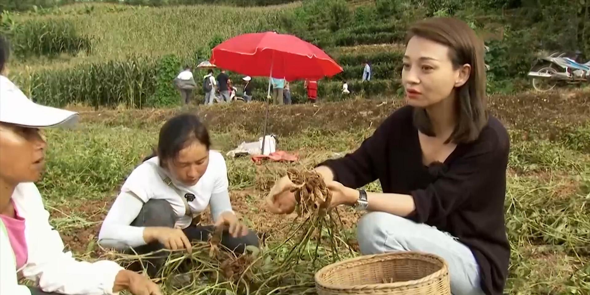 花生榨油赚钱吗_花生油致富经_花生油的价值