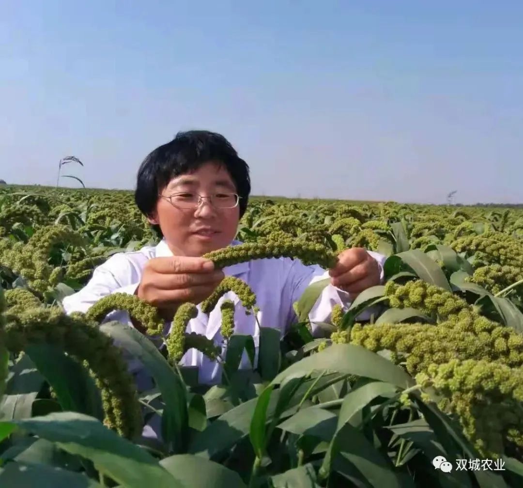 脱贫户种植花生致富_2020年种植花生补贴政策_贫困户种植花生补贴