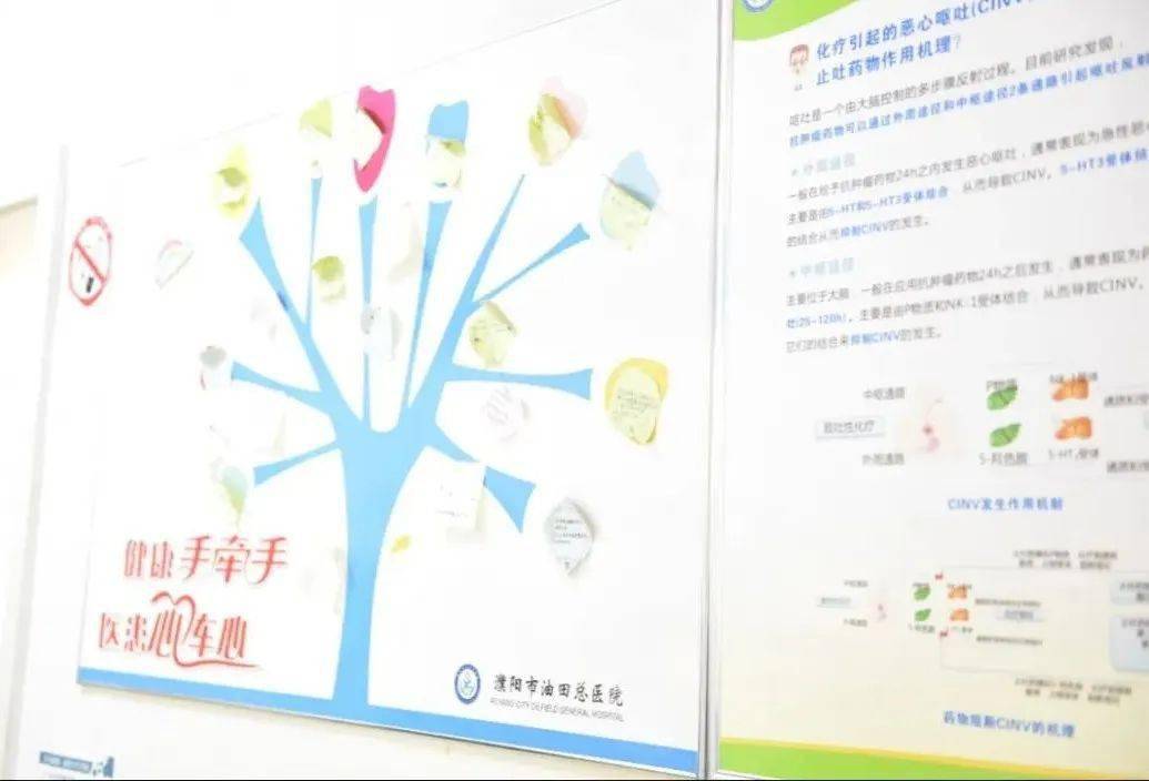 优质护理服务经验报告_护理优质经验服务内容_的优质护理服务经验