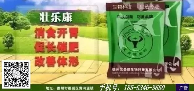 养羊致富经2020年全集_养羊致富经_要看致富经养羊