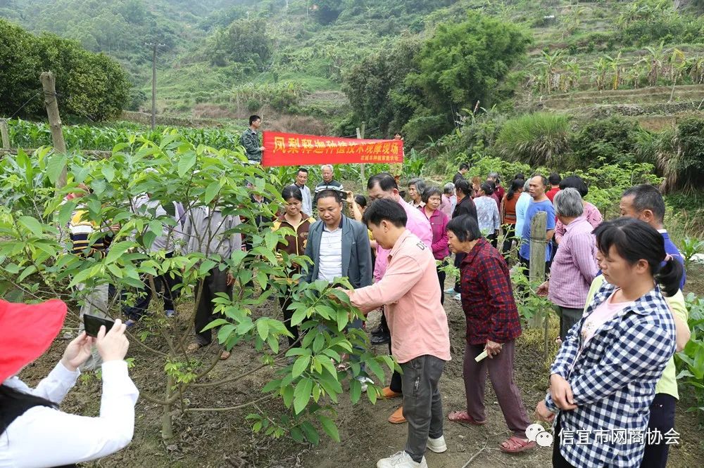 湖南释迦果种植技术_云南种释迦果的基地在哪里啊_湖南能种释迦果树吗