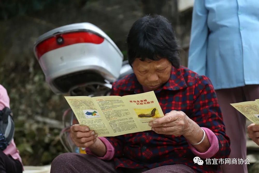 云南种释迦果的基地在哪里啊_湖南能种释迦果树吗_湖南释迦果种植技术