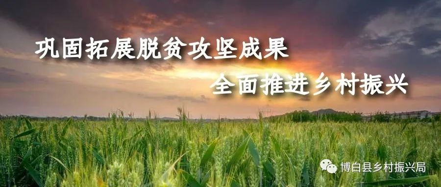 在湖南适合种释迦吗_湖南释迦果种植技术_云南种释迦果的基地在哪里啊