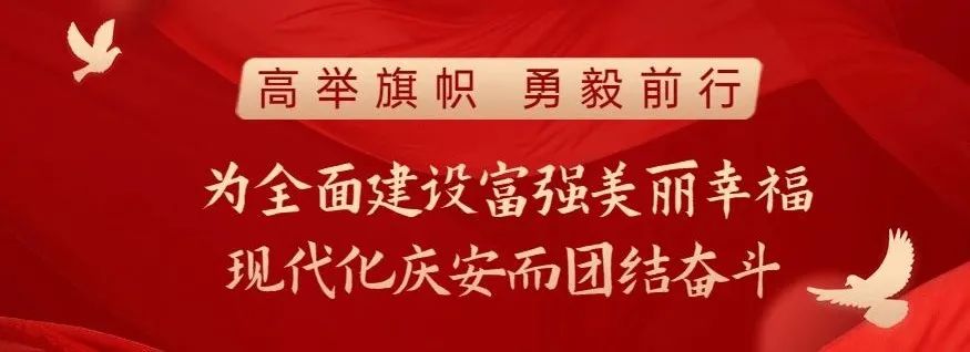 致富养殖山鸡图片_致富养殖山鸡怎么样_致富经养殖山鸡