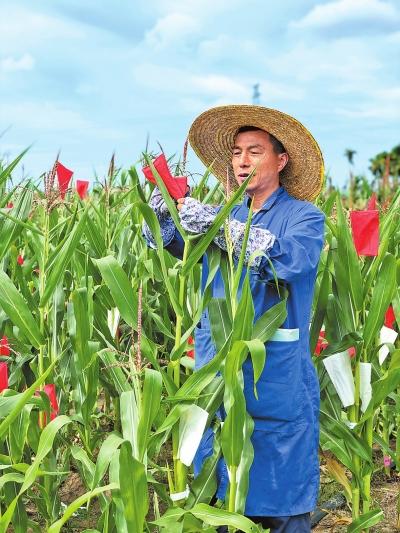 夏南牛养殖技术视频_夏南牛养殖成本_夏南牛原种场