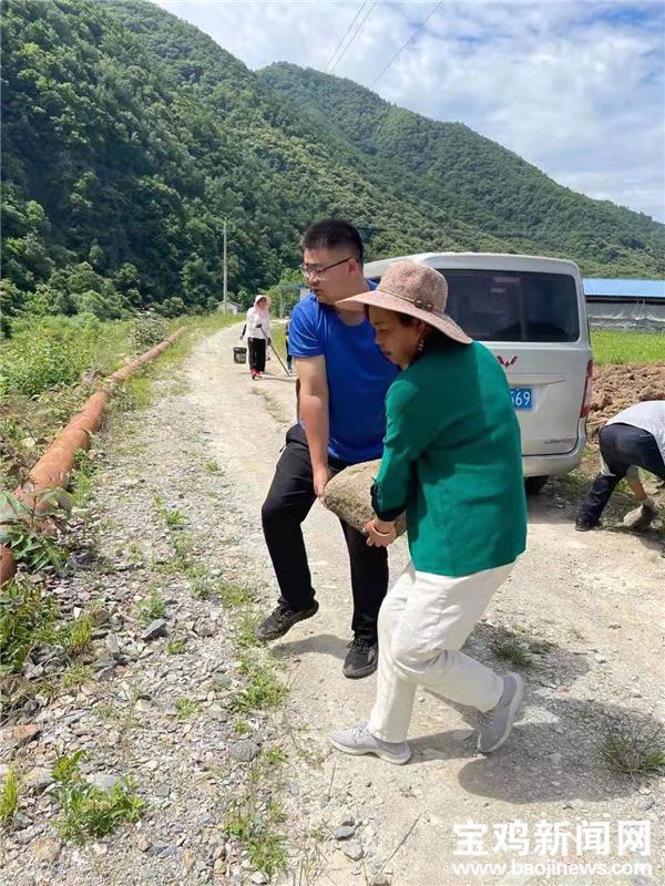 致富养殖林麝图片_致富养殖林麝产地_林麝养殖致富经