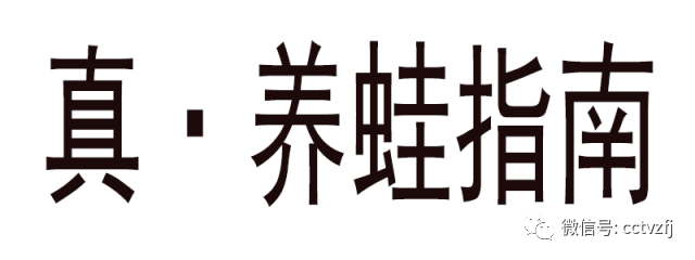 牛蛙养殖致富经_致富经牛蛙的养殖技术_致富养殖牛蛙技术培训