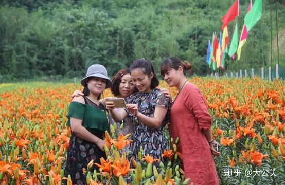 致富种植白芍故事内容_致富种植白芍故事视频_白芍种植致富故事