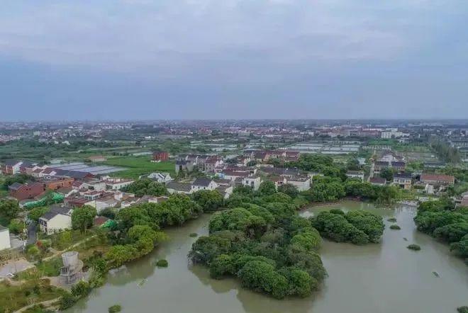 浙江牛蛙致富经_致富经牛蛙致富视频_浙江牛蛙养殖基地在哪里