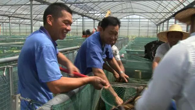 【节目视频】痴汉两招 破解黄鳝财富密码