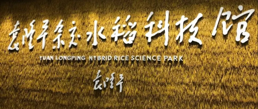 “袁隆平杂交水稻科学园” ——四川泰隆农业探索和实践“种稻致富”模式