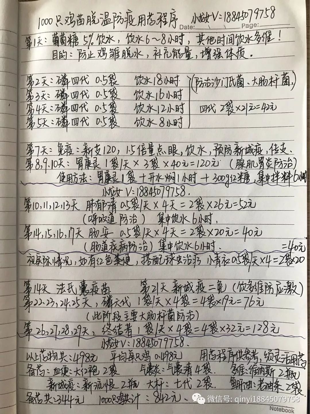 柴鸡养殖技术成本_养殖柴鸡需要些什么手续_柴鸡养殖前景如何