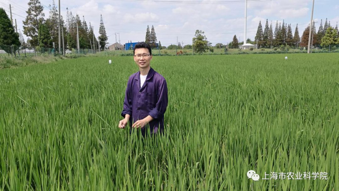 立体养殖业_立体种养 致富经_农村立体种养模式