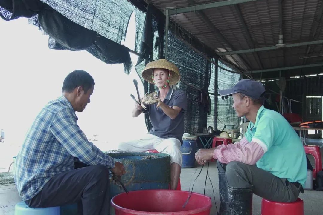 致富经养殖鱼视频_视频致富金鱼养殖_致富经金鱼养殖视频